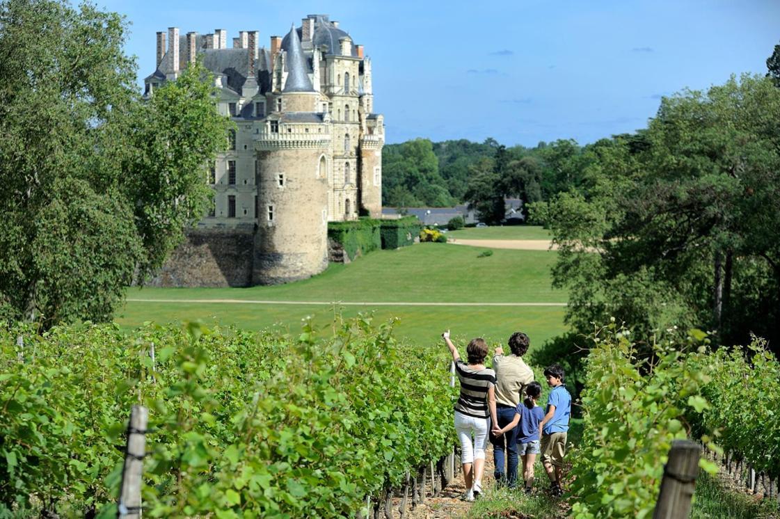 Dependance Chateau D'Arts Hotel Saint-Saturnin-sur-Loire Ngoại thất bức ảnh